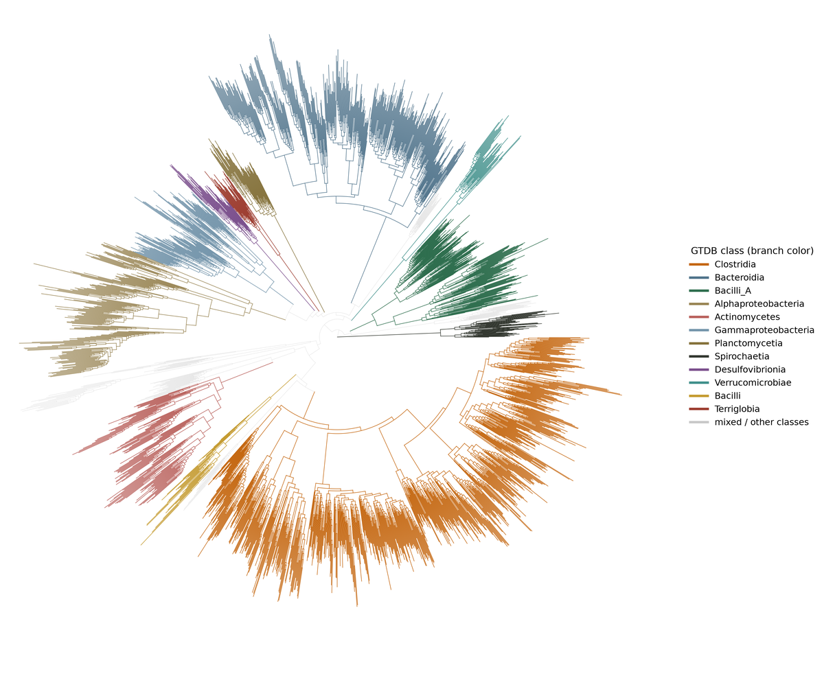 Preview of Finding the Tree of Life in Evo 2